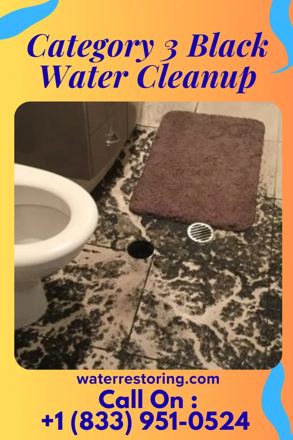 Category 3 Black Water Cleanup in Englewood, NJ