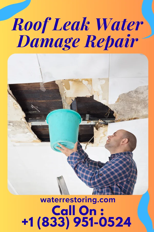 Roof Leak Water Damage Repair in Englewood, NJ