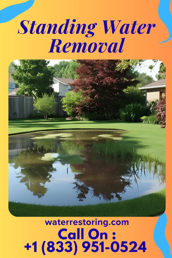 Standing Water Removal in Englewood, NJ